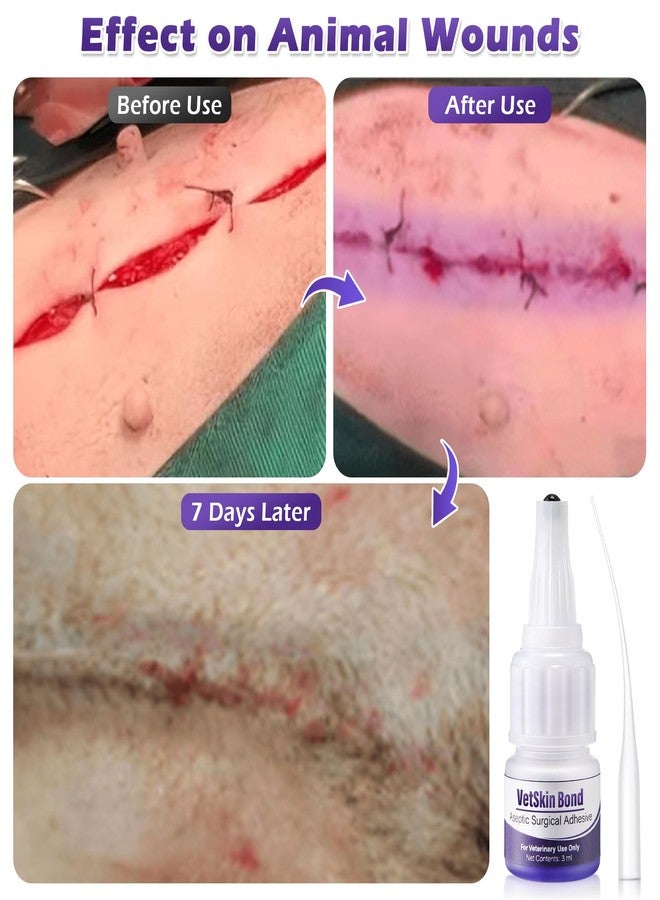 Ceoighe 1 Pack 3ml Veterinary Surgical Skin Glue with 10 Precise Applicators, Strong Surgical Adhesive, Blue-Tinted Animal Tissue Wound Glue, Fast Bleeding Control and Waterproof Wound Sealant for Pets - Image 5